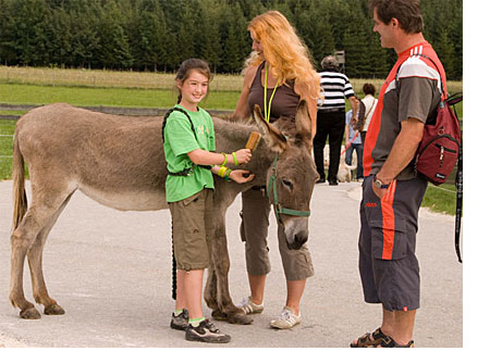 Family with Donkey in Austria